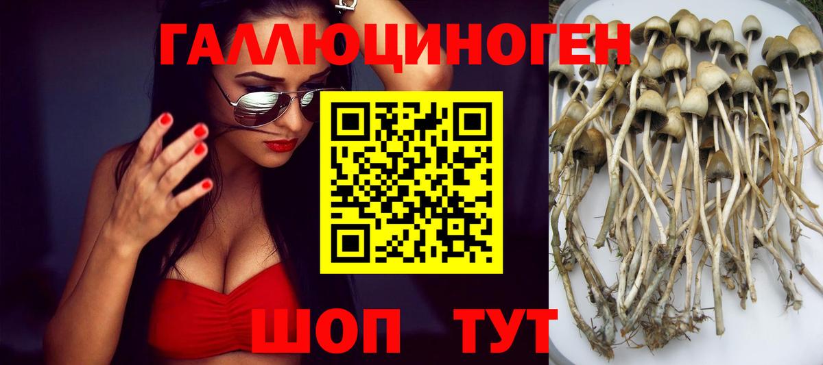 Галлюциногенные грибы прущие грибы Углич